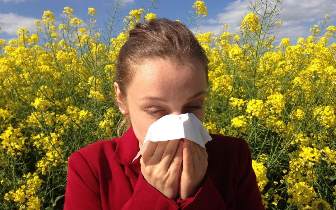 Allergien und Darm